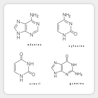 Hand Drawn RNA Ribonucleic Acid Pack Magnet